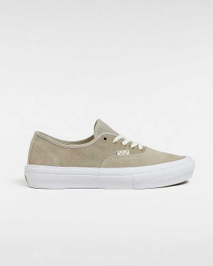 Grey Men Vans Authentic Wrapped Skate Shoes Canada | VN6594031