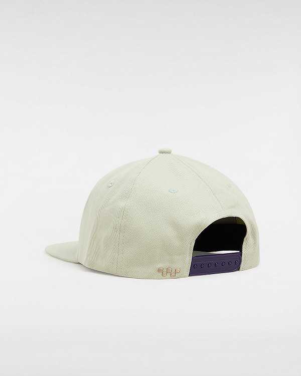 Beige Unisex Vans Skate Star Low Hats Canada | VN7439810