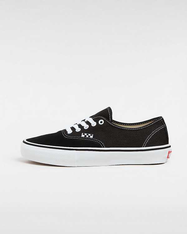 Black Men Vans Authentic Skate Shoes Canada | VN9508734