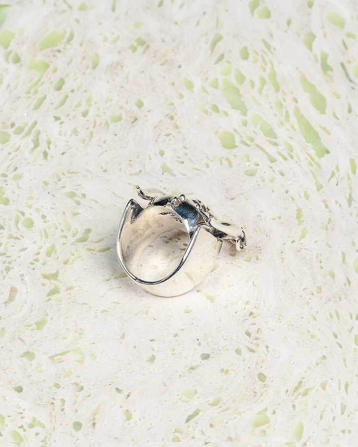 Grey Unisex Vans The Frog Motorhead Rings Canada | VN2047916