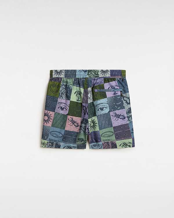 Multicolor Men Vans Primary Solid Elastic Boardshorts Canada | VN6250734
