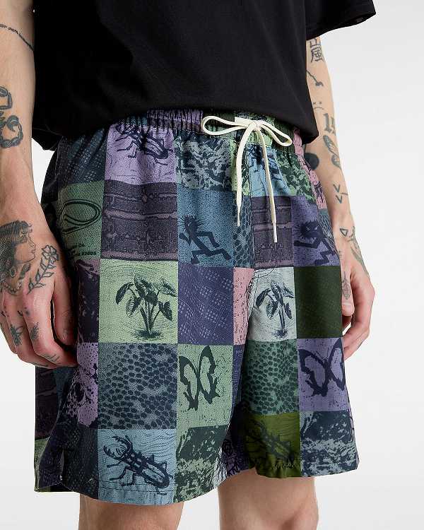 Multicolor Men Vans Primary Solid Elastic Boardshorts Canada | VN6250734